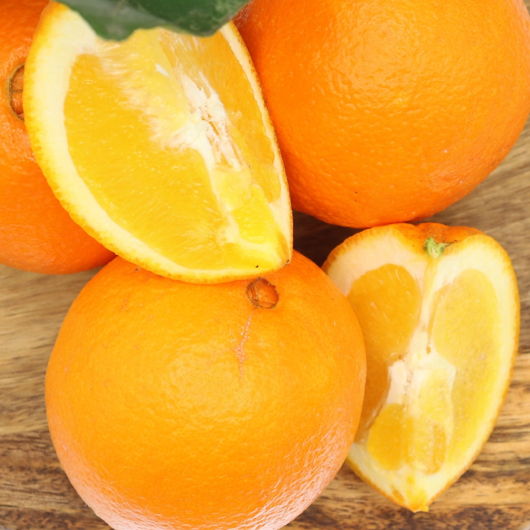 Frische Algarve Orangen – unbehandelt, direkt vom Bauernhof, sonnenverwöhnt und natürlich süß. Perfekt für Saft oder Snacks