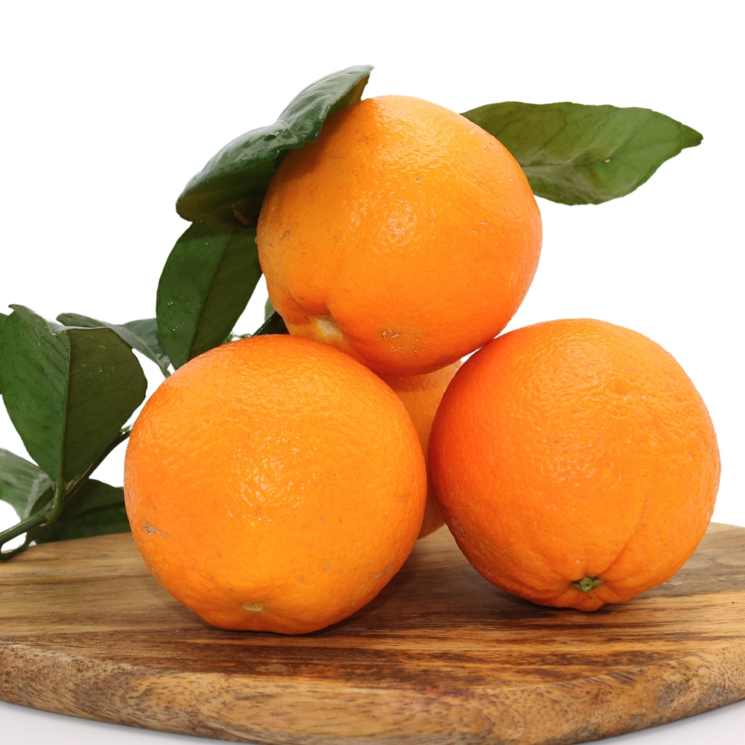 Frische Algarve Orangen – unbehandelt, direkt vom Bauernhof, sonnenverwöhnt und natürlich süß. Perfekt für Saft oder Snacks