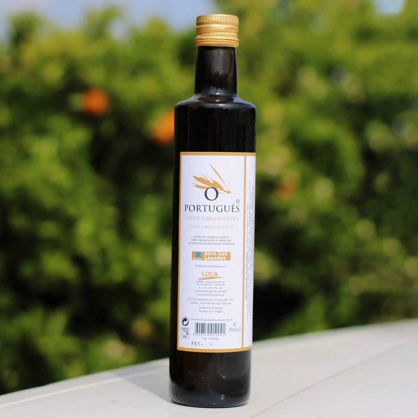 olive oil outside