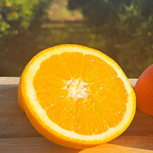 Algarve Orangen Sommersorte 10 KG + 10% Gratis