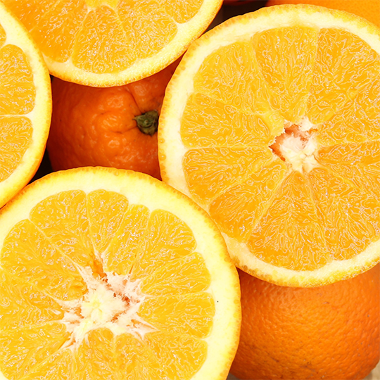 Frische Algarve Orangen – unbehandelt, direkt vom Bauernhof, sonnenverwöhnt und natürlich süß. Perfekt für Saft oder Snacks