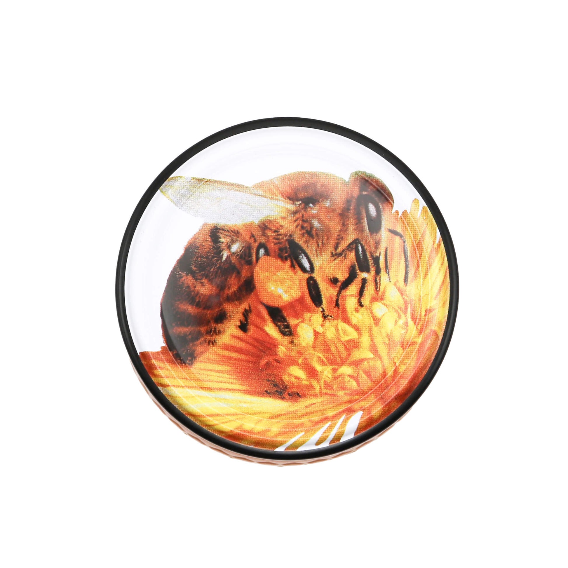 Lid of honey with a bee design on a white background